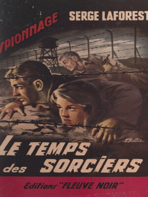 cover image of Le temps des sorciers